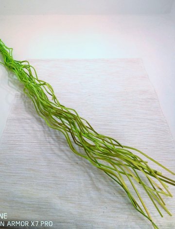Vlnitý pedik 70 cm zelený cena za kus