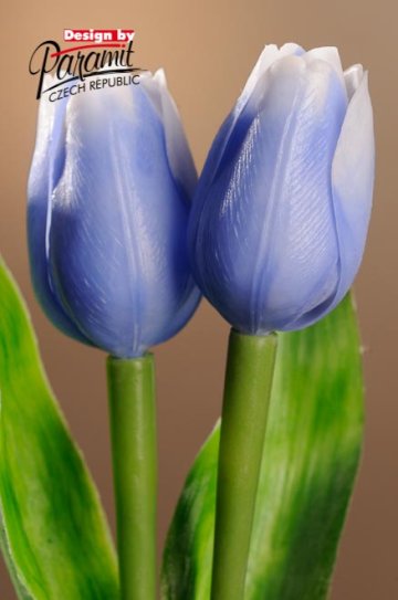 Tulipán sv. modrý 40 cm F244-B