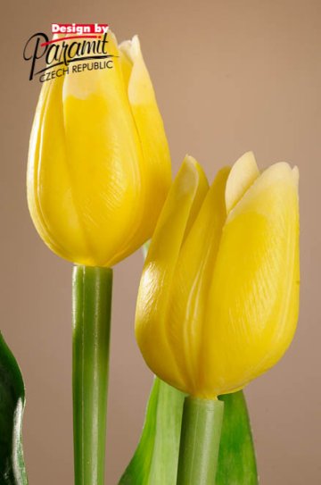 Tulipán žlutý 40 cm F244-Y
