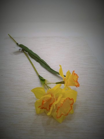 Narcis 3kvety1list 49