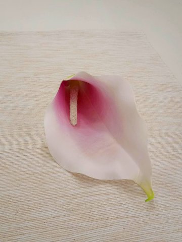 květ kala 18 cm pěnový