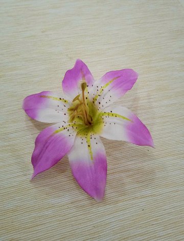 lilie květ 15 cm fialovo, bílo, zelená
