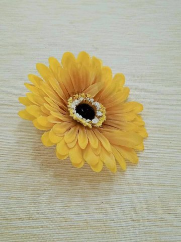 gerbera 11 cm květ