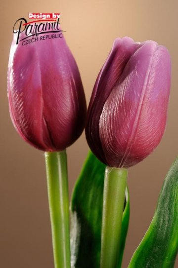 Tulipán fialovo červený 40 cm F244-L3
