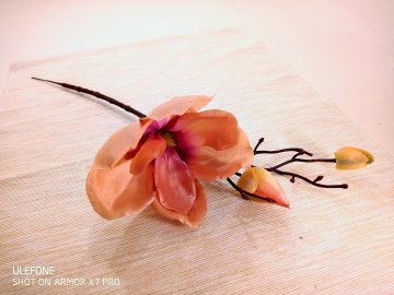 Magnolie 30 cm saténová