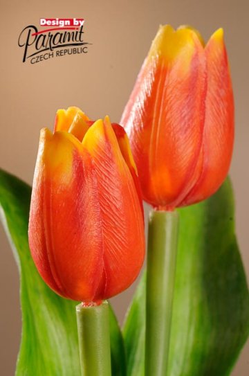 Tulipán červeno žlutý 40 cm F244-R