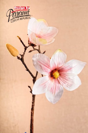 Magnolie 50 cm světle růžová