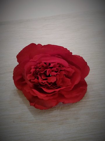 Květ růže Mary Rose 11 cm