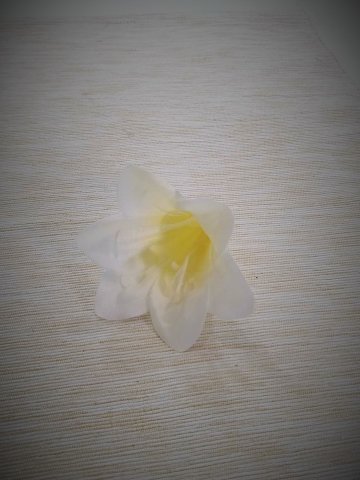 Květ lilie 7 cm